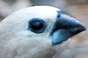 nº20.jpg