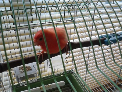 IMG11211.jpg