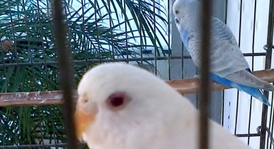 IMG_00000254.jpg