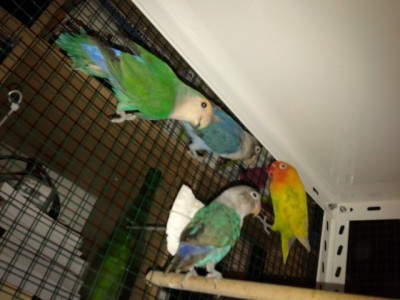 20130525_233020.jpg
