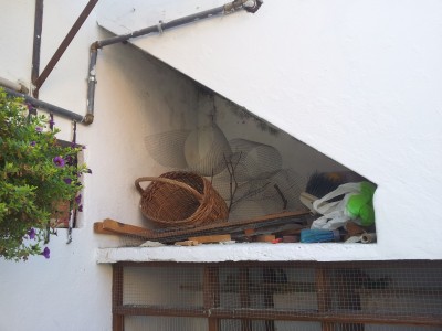 O local...