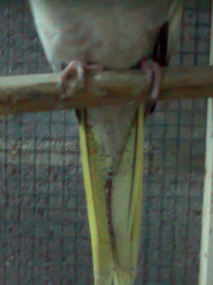 01022007397.jpg