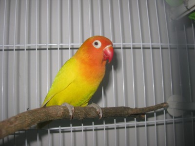 IMG_5670.JPG
