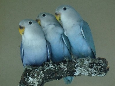 DSCF5360.JPG