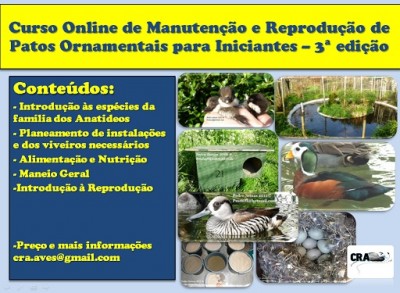 CursoCRA3mini.jpg