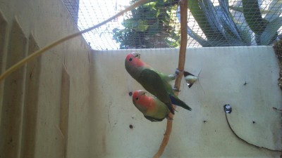 DSC_0524.jpg