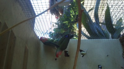 DSC_0523.jpg