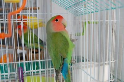 DSC_8298.JPG