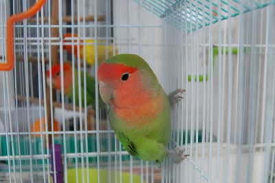 DSC_8300.JPG