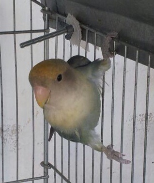 image.jpg