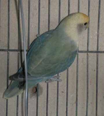 image.jpg