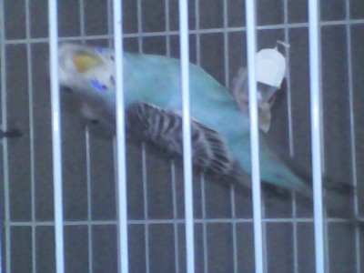 p1.jpg