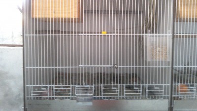 IMG_20150701_210319.jpg