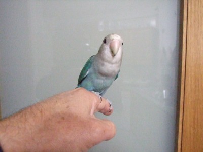 DSCF5326.JPG