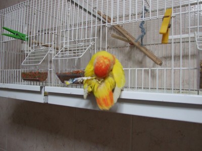 DSCF5329.JPG