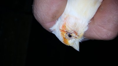 20160416_111808.jpg