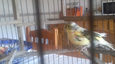 20160823_160847.jpg