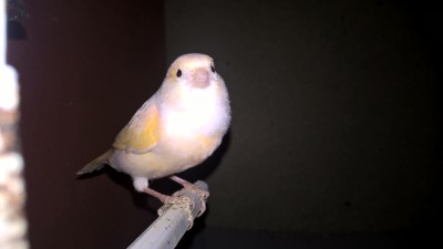 WP_20161128_18_08_36_Pro.jpg