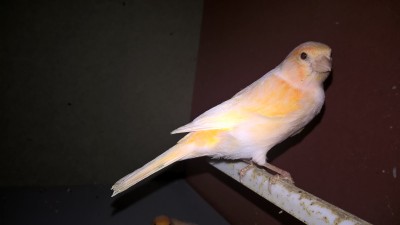 WP_20161128_18_09_25_Pro.jpg