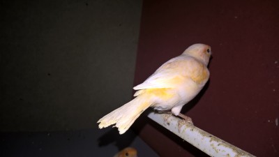 WP_20161128_18_09_28_Pro.jpg
