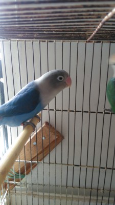 Foto 1