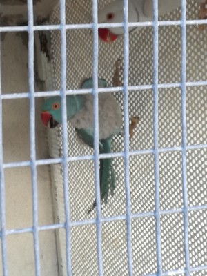 IMG_20171219_155544.jpg