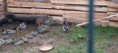 20191130_165546.jpg