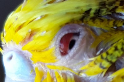 20210608_181253.jpg