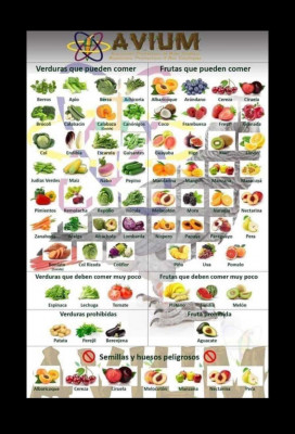 Tabela com frutas e legumes para todo o tipo de aves