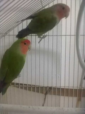 04022012244.jpg