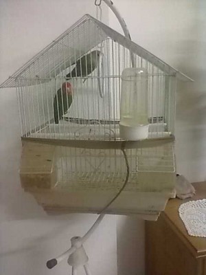 04022012245.jpg