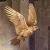 Avatar do Utilizador